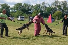 dog attack Budapest